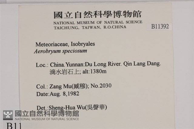 登錄號:B00011392藏品圖，第2張