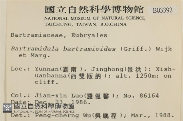 登錄號:B00003392藏品圖，第2張