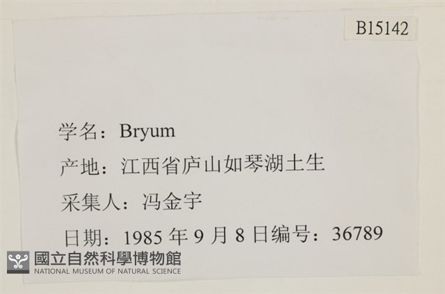 登錄號:B00015142藏品圖，第2張