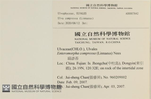 Accession Number:A00007842 Collection Image, Figure 2, Total 2 Figures