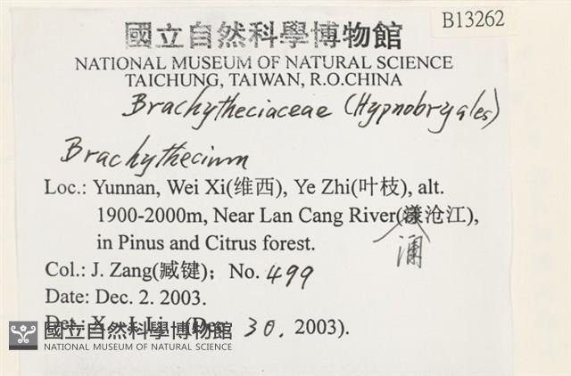 登錄號:B00013262藏品圖，第2張