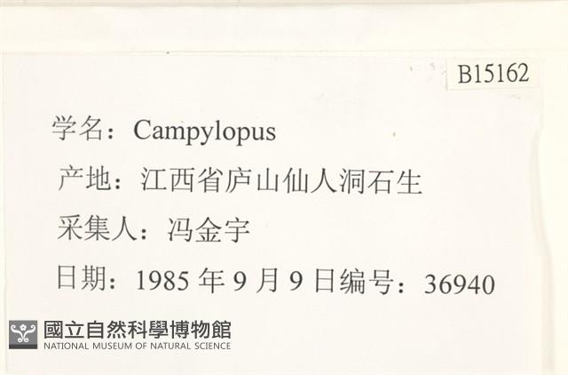 登錄號:B00015162藏品圖，第2張