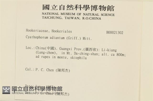 登錄號:B00021302藏品圖，第2張