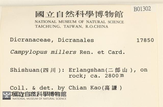 登錄號:B00001302藏品圖，第2張