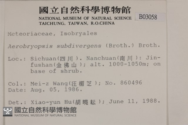 大灰氣蘚藏品圖，第2張