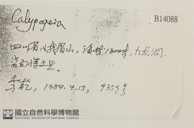 登錄號:B00014088藏品圖，第2張