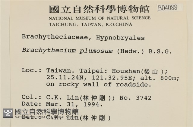 羽枝青蘚藏品圖，第2張