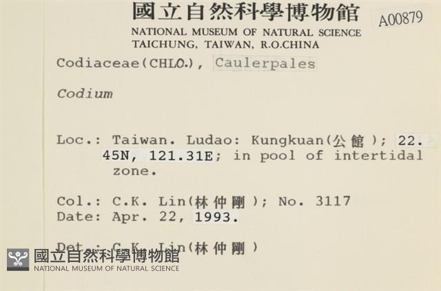 登錄號:A00000879藏品圖，第2張