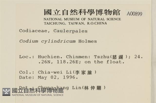 登錄號:A00000899藏品圖，第2張