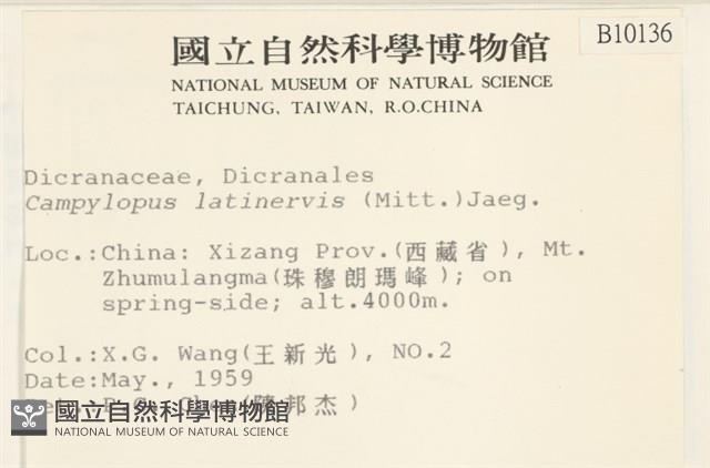 登錄號:B00010136藏品圖，第1張