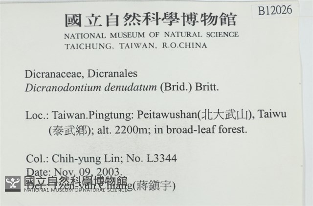 青毛苔藏品圖，第2張
