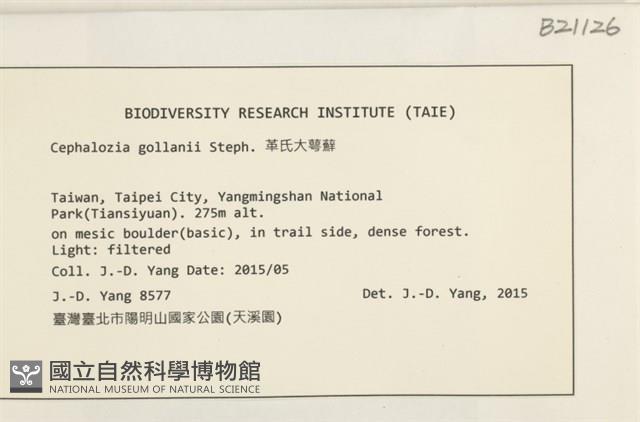 登錄號:B00021126藏品圖，第2張