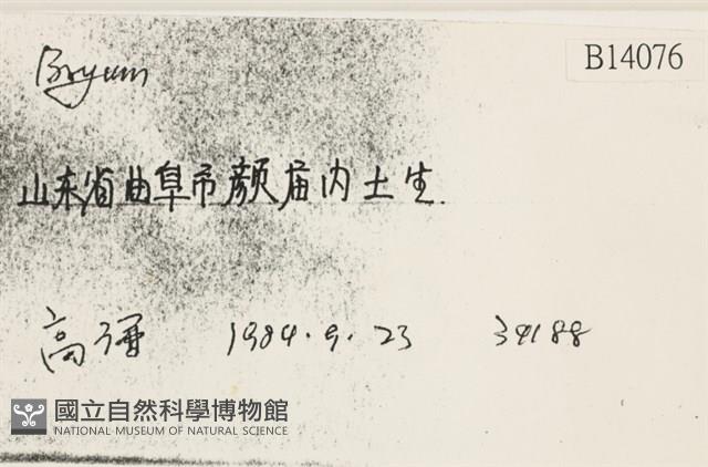 登錄號:B00014076藏品圖，第2張