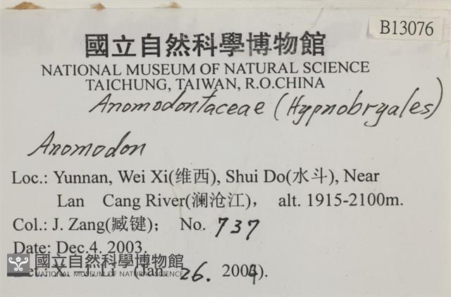 登錄號:B00013076藏品圖，第2張