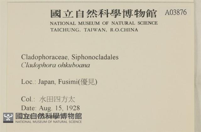 登錄號:A00003876藏品圖，第2張