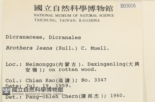 登錄號:B00003016藏品圖，第2張