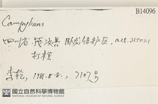 登錄號:B00014096藏品圖，第2張