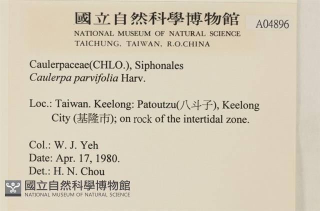 登錄號:A00004896藏品圖，第2張