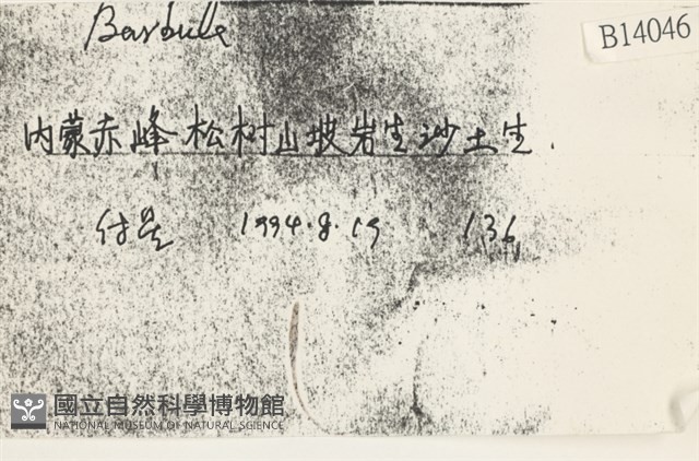 登錄號:B00014046藏品圖，第2張