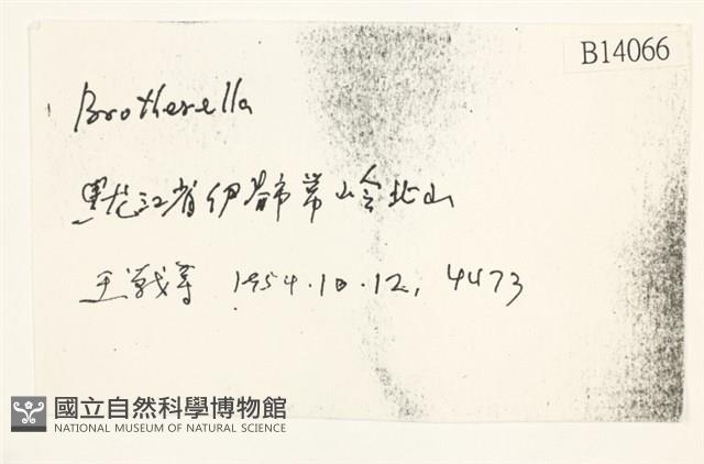 登錄號:B00014066藏品圖，第2張