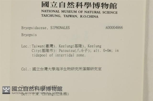 登錄號:A00004866藏品圖，第2張