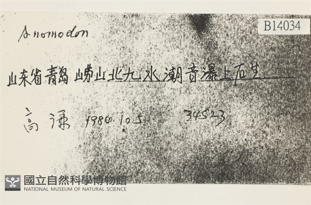 登錄號:B00014034藏品圖，第2張