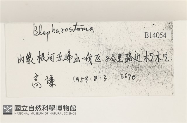 登錄號:B00014054藏品圖，第2張