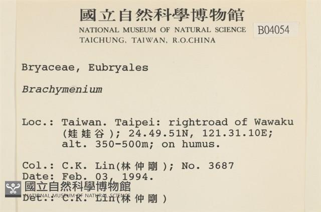 登錄號:B00004054藏品圖，第2張