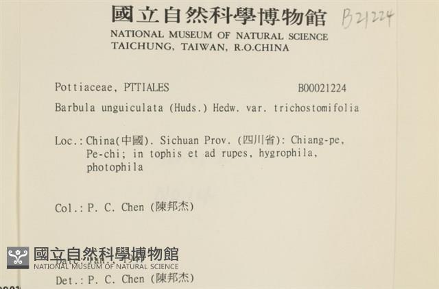 登錄號:B00021224藏品圖，第2張