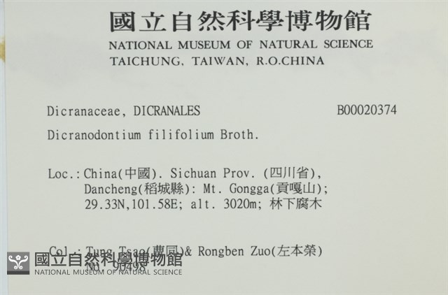毛葉青毛蘚藏品圖，第2張