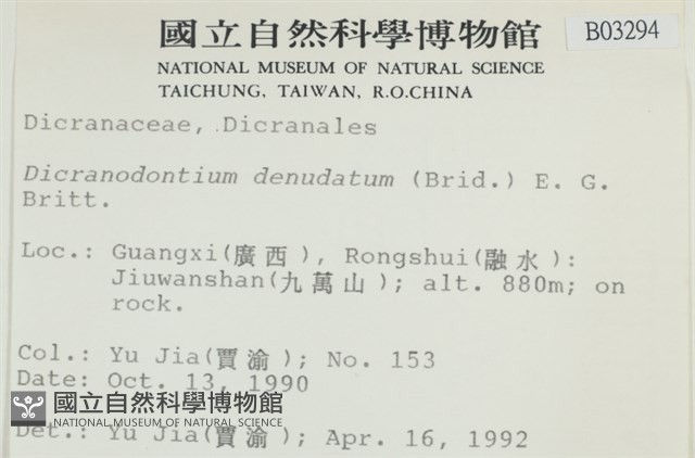 青毛苔藏品圖，第2張