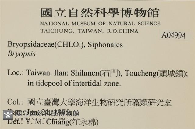 登錄號:A00004994藏品圖，第2張