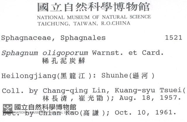 稀孔泥炭蘚藏品圖，第2張