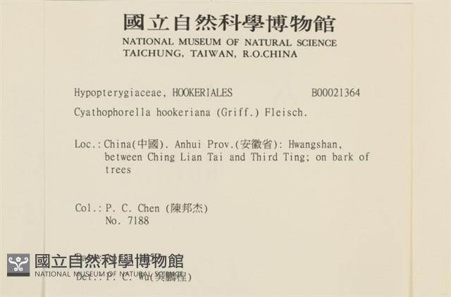 登錄號:B00021364藏品圖，第2張