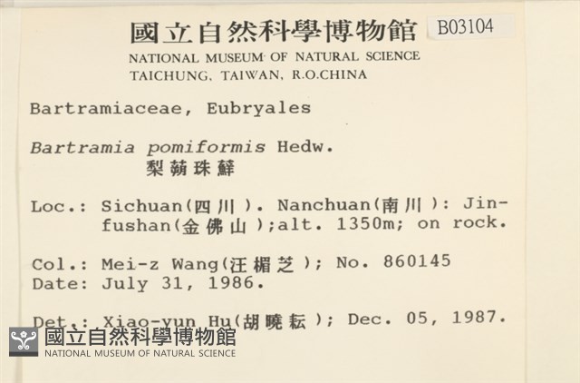 登錄號:B00003104藏品圖，第2張