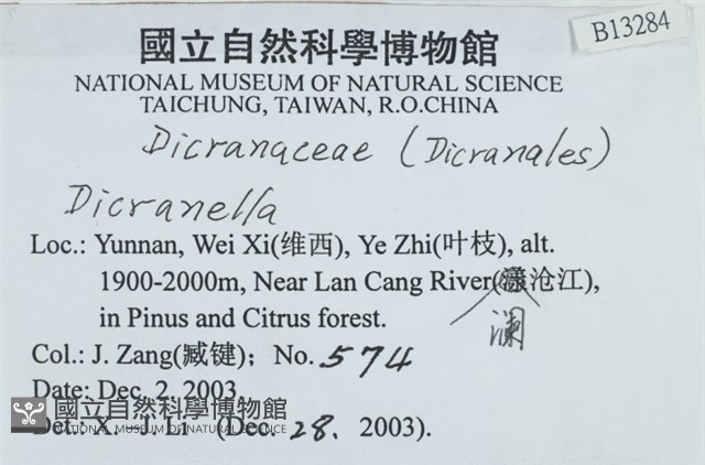 登錄號:B00013284藏品圖，第2張