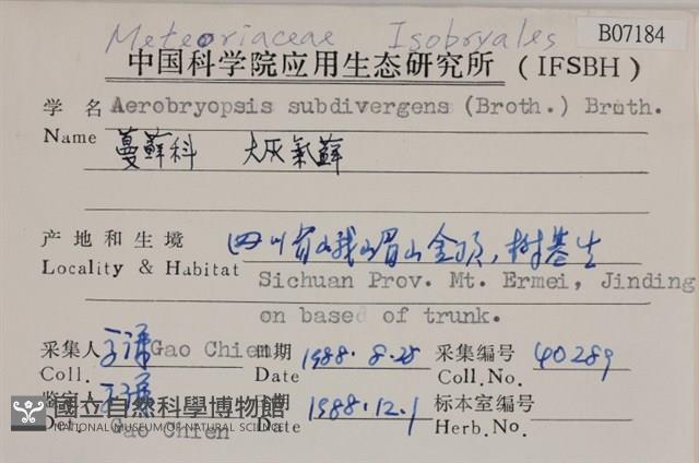 大灰氣蘚藏品圖，第2張