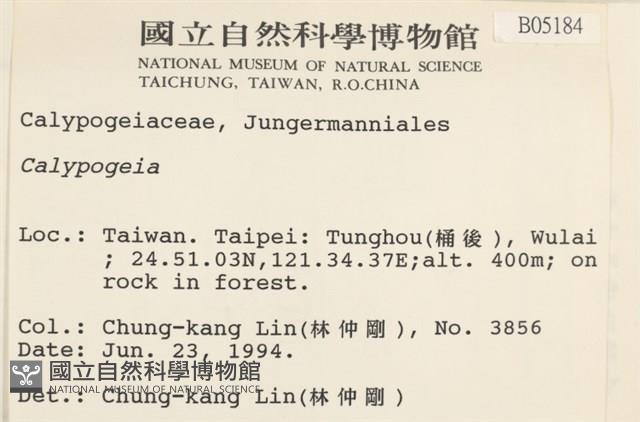 登錄號:B00005184藏品圖，第2張