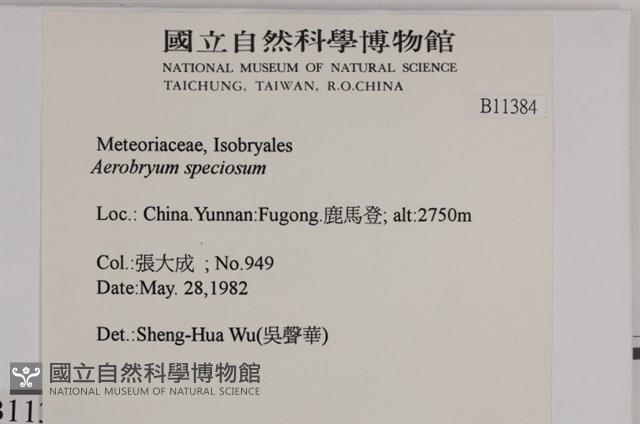 登錄號:B00011384藏品圖，第2張