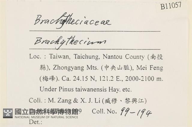 登錄號:B00011057藏品圖，第2張