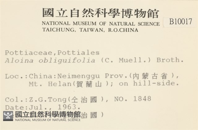 斜葉蘆薈蘚藏品圖，第2張