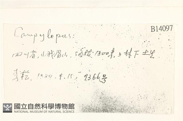 登錄號:B00014097藏品圖，第2張