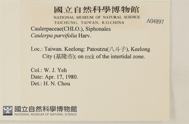 登錄號:A00004897藏品圖，第2張