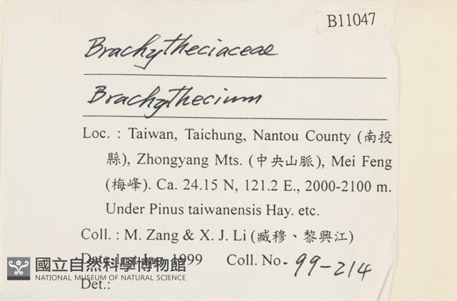 登錄號:B00011047藏品圖，第2張