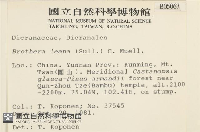 登錄號:B00005067藏品圖，第2張