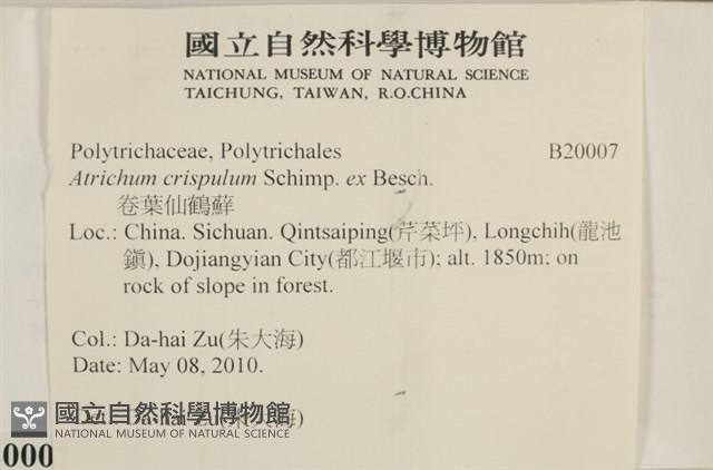 卷葉仙鶴蘚藏品圖，第2張