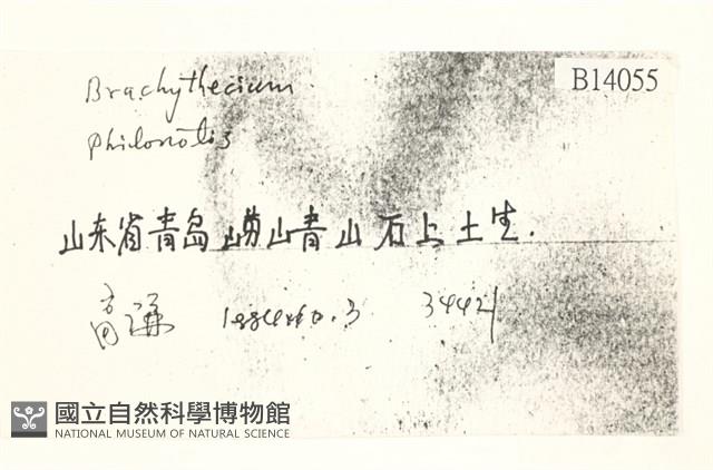 登錄號:B00014055藏品圖，第2張