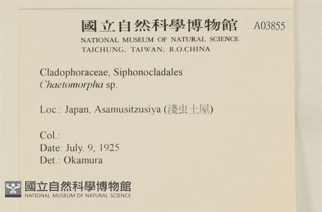 登錄號:A00003855藏品圖，第2張