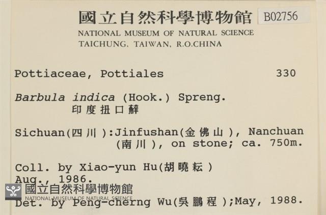 東亞羽枝蘚藏品圖，第2張
