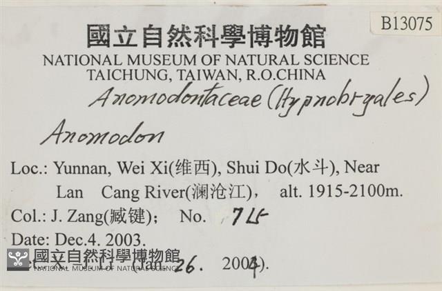 登錄號:B00013075藏品圖，第2張